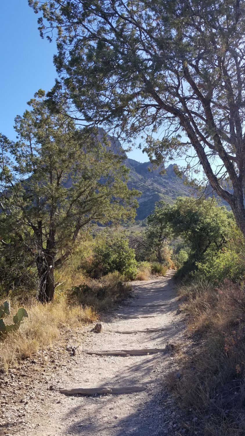 Basin and Window View Hikes 